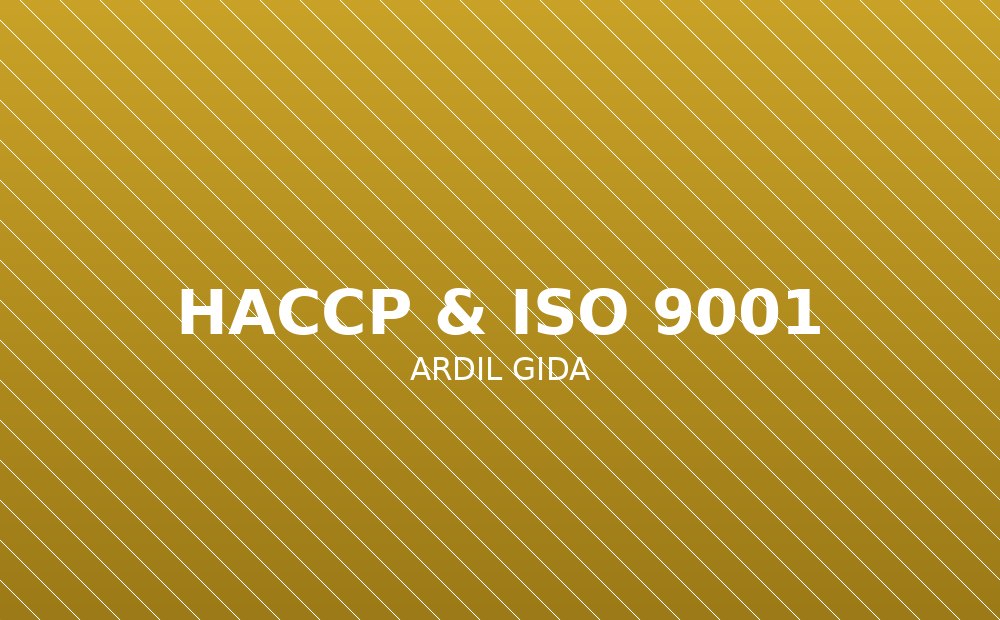 HACCP ve ISO 9001 Belgeleri Neden Önemli?