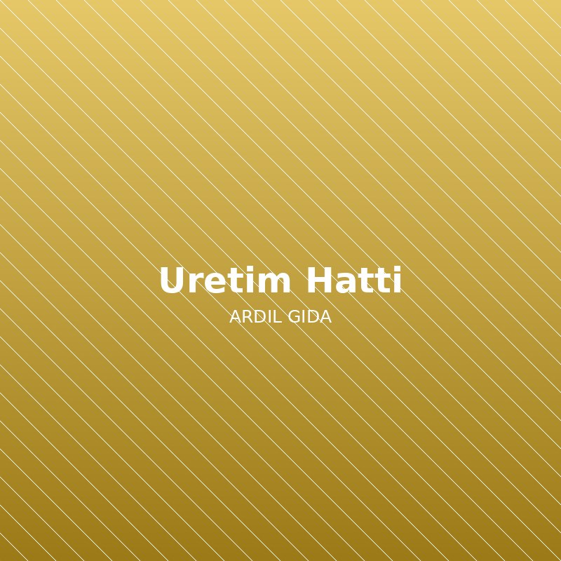Üretim Hattımız