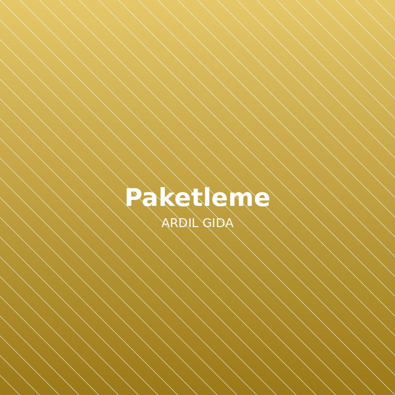 Paketleme Süreci